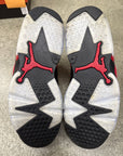 AIR JORDAN 6 TORO - SIZE 8.5 (WORN)
