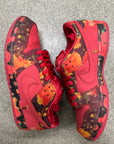 SB DUNK LOW THE WIZARD OF OZ POPPY FIELD - SIZE 11 (WORN) (SUPER CLEAN)