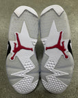 AIR JORDAN 6 CARMINE - SIZE 9 (WORN)