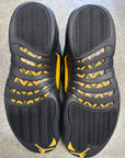 AIR JORDAN 12 BLACK TAXI - SIZE 13 (WORN)