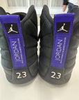 AIR JORDAN 12 DARK CONCORD - SIZE 10 (WORN)