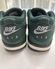AIR JORDAN 4 NIGEL SYLVESTER GRANDMAS DRIVEWAY - SIZE 8.5 (WORN)