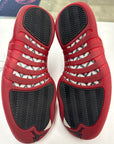 AIR JORDAN 12 CHERRY 2023 - SIZE 9 (WORN) - SUPER CLEAN