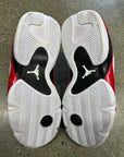 AIR JORDAN 14 RETRO RIP HAMILTON - SIZE 9 (WORN)