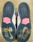 NIKE SB DUNK LOW BORN X RAISED - SIZE 11 (WORN)