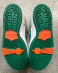 SD DUNK LOW PRO JARRITOS - SIZE 9.5 (WORN) - SUPER CLEAN
