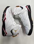 AIR JORDAN 7 CARDINAL 2022 - SIZE 10 (WORN)