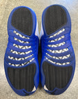 AIR JORDAN 12 BLUEBERRY - SIZE 11 (WORN)