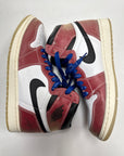 AIR JORDAN 1 HIGH TROPHY ROOM FRIENDS & FAMILY - SIZE 10.5 (WORN)