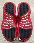AIR JORDAN 12 CHERRY 2023 - SIZE 8.5 (WORN)