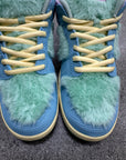 SB DUNK LOW VERDY VISTY - SIZE 13 (WORN)