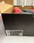 AIR JORDAN 12 FLU GAME 2025 - SIZE 10.5 (WORN)