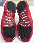 AIR JORDAN 12 CHERRY 2023 - SIZE 11 (WORN)