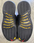 AIR JORDAN 12 TAXI 2013 - SIZE 11 (WORN)
