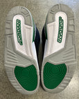 AIR JORDAN 3 PINE GREEN - SIZE 12 (WORN)