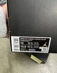 WMNS AIR JORDAN 3 AMA MANIERE - SIZE W12 M10.5 (WORN) (SUPER CLEAN)