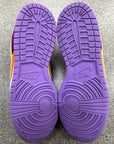 DUNK LOW VIOTECH - SIZE 11 (WORN)