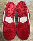 DUNK LOW PRO J PACK CHICAGO - SIZE 13 (WORN)