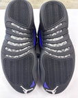 AIR JORDAN 12 CONCORD - SIZE 11.5 (WORN)