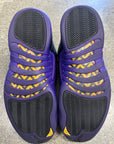 AIR JORDAN 12 FIELD PURPLE - SIZE 12 (WORN)