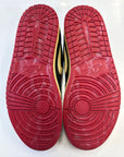 AIR JORDAN 1 LOW NIGEL SYLVESTER - SIZE 10.5 (WORN)