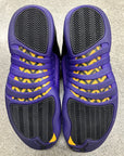 AIR JORDAN 12 FIELD PURPLE - SIZE 11.5 (WORN) - SUPER CLEAN