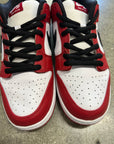 DUNK LOW PRO J PACK CHICAGO - SIZE 13 (WORN)