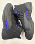 AIR JORDAN 12 CONCORD - SIZE 11.5 (WORN)