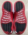 AIR JORDAN 12 CHERRY (FLU GAME BOX) 2025 - SIZE 11 (WORN)