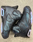 AIR JORDAN 6 ALL STAR CHAMELEON - SIZE 9.5 (WORN)