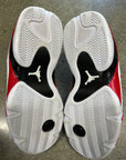 AIR JORDAN 14 RIP HAMILTON - SIZE 9.5 (WORN)