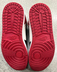 AIR JORDAN 1 BRED TOE - SIZE 9 (WORN)