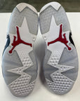 AIR JORDAN 6 CARMINE - SIZE 9.5 (WORN) - SUPER CLEAN