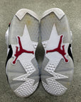 AIR JORDAN 6 CARMINE - SIZE 9 (WORN)