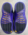 AIR JORDAN 12 FIELD PURPLE - SIZE 8.5 (WORN)