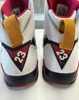 AIR JORDAN 7 CARDINAL 2022 - SIZE 11 (WORN)