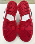 SB DUNK LOW J PACK CHICAGO - SIZE 9.5 (WORN)