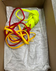 SB DUNK LOW PRO WHAT THE PAUL - SIZE 8.5 (WORN)