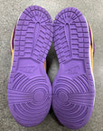 DUNK LOW VIOTECH - SIZE 8.5 (WORN)