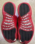 AIR JORDAN 12 CHERRY - SIZE 10.5 (WORN)