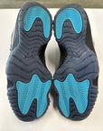AIR JORDAN 11 GAMMA 2025 - SIZE 8.5 (WORN) - SUPER CLEAN
