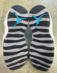 AIR JORDAN 10 STEEL 2025 - SIZE 9 (WORN)