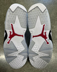 AIR JORDAN 6 CARMINE - SIZE 9.5 (WORN) - SUPER CLEAN