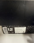 AIR JORDAN 3 BLACK CEMENT 2018 - SIZE 12 (WORN)