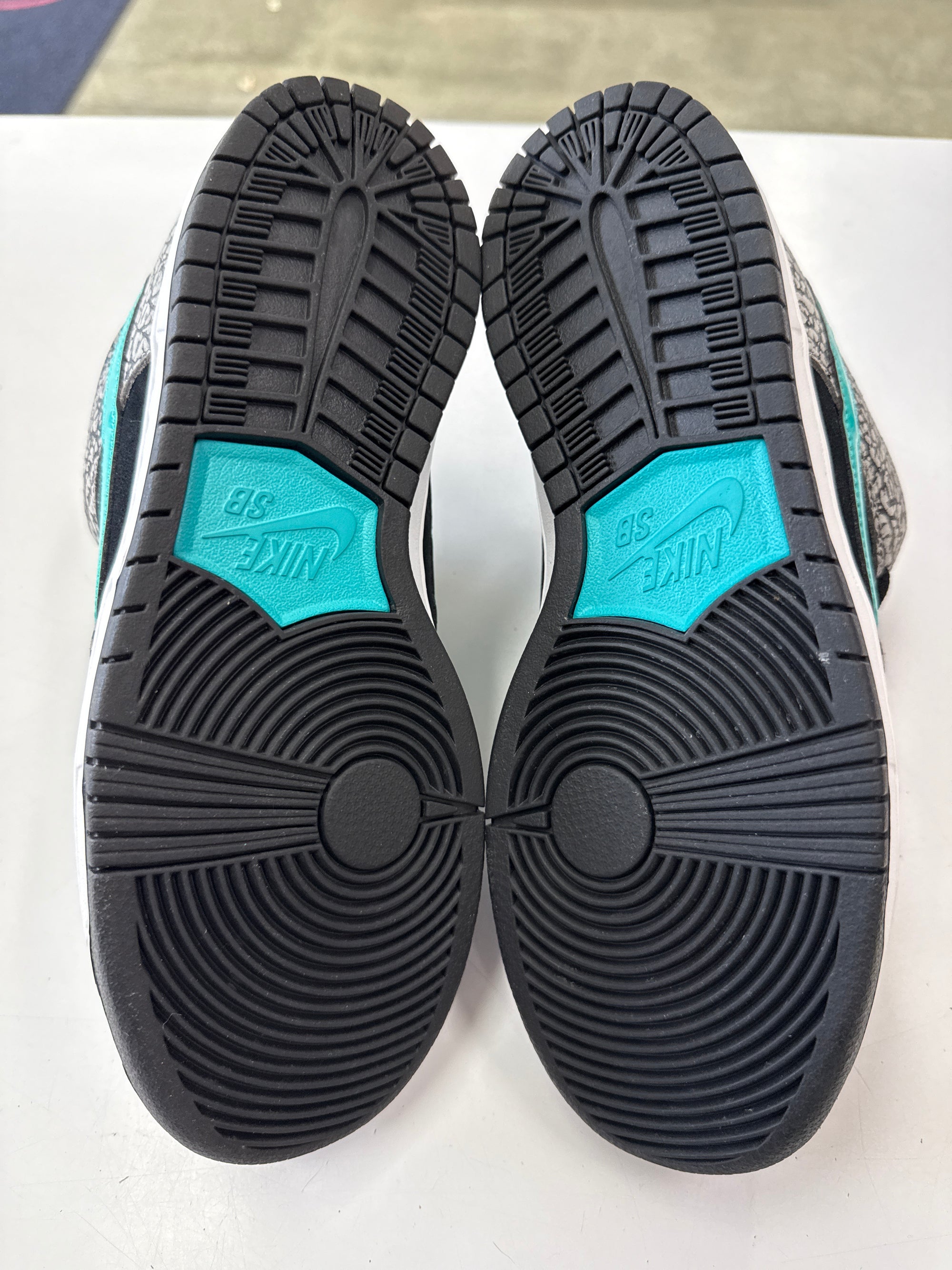 SB DUNK LOW ATMOS - SIZE 8 (WORN) - SUPER CLEAN
