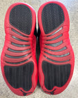 AIR JORDAN 12 FLU GAME 2016 - SIZE 9.5 (WORN)