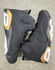 AIR JORDAN 6 DMP - SIZE 11 (WORN)