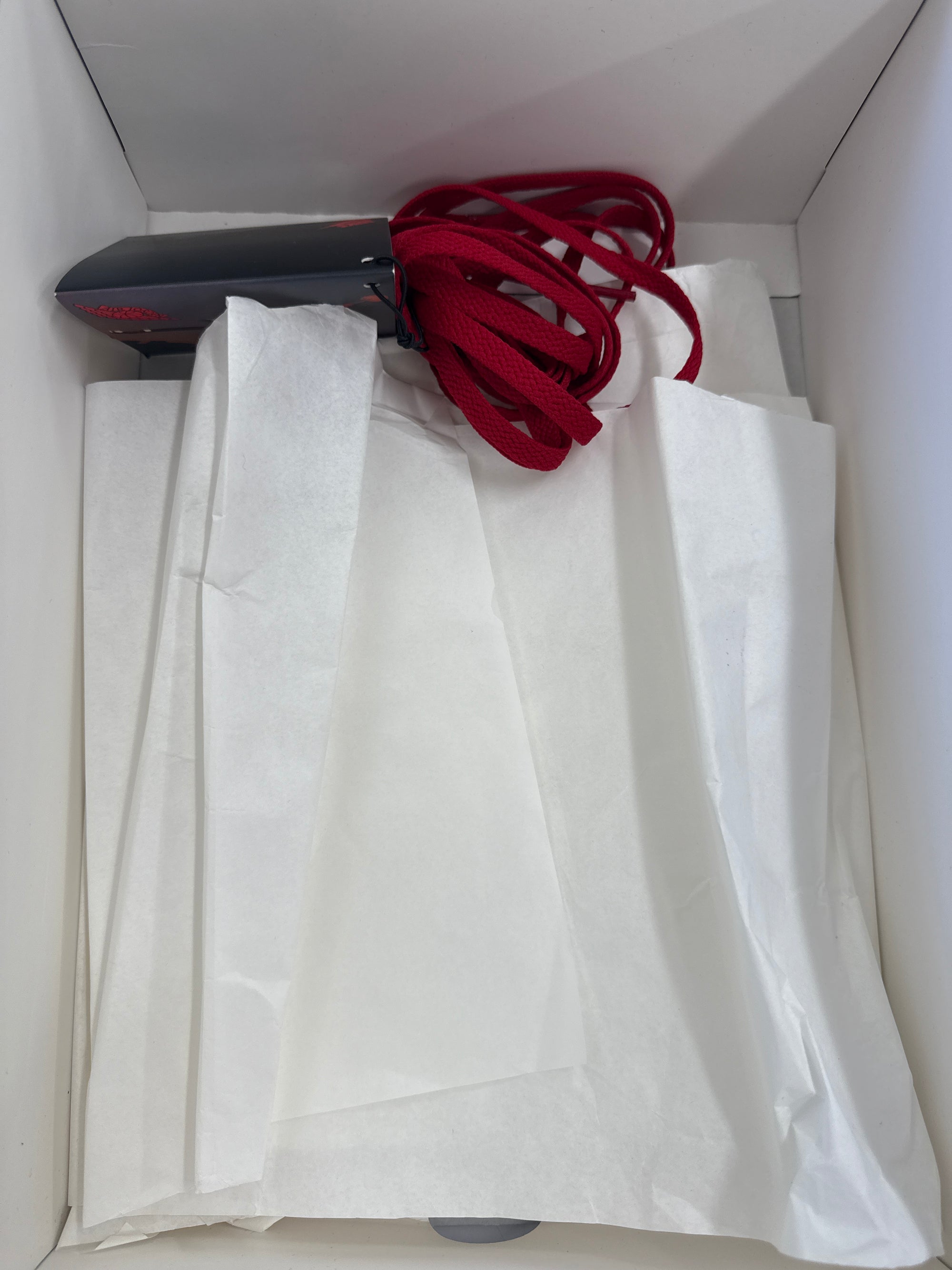 AIR JORDAN 1 HI 85 BRED - SIZE 10 (WORN) - SUPER CLEAN