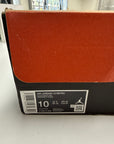 AIR JORDAN 12 FLU GAME 2025 - SIZE 10 (WORN)