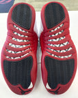AIR JORDAN 12 CHERRY 2023 - SIZE 9.5 (WORN)